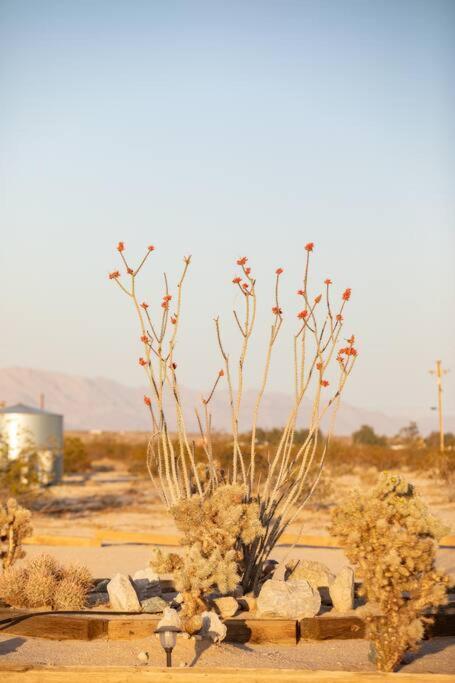 Sun Runner - Serene Desert Home W/Pool & Hot Tub Twentynine Palms Exterior foto